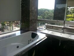 Suites @ Cairnhill (D9), Apartment #470828941